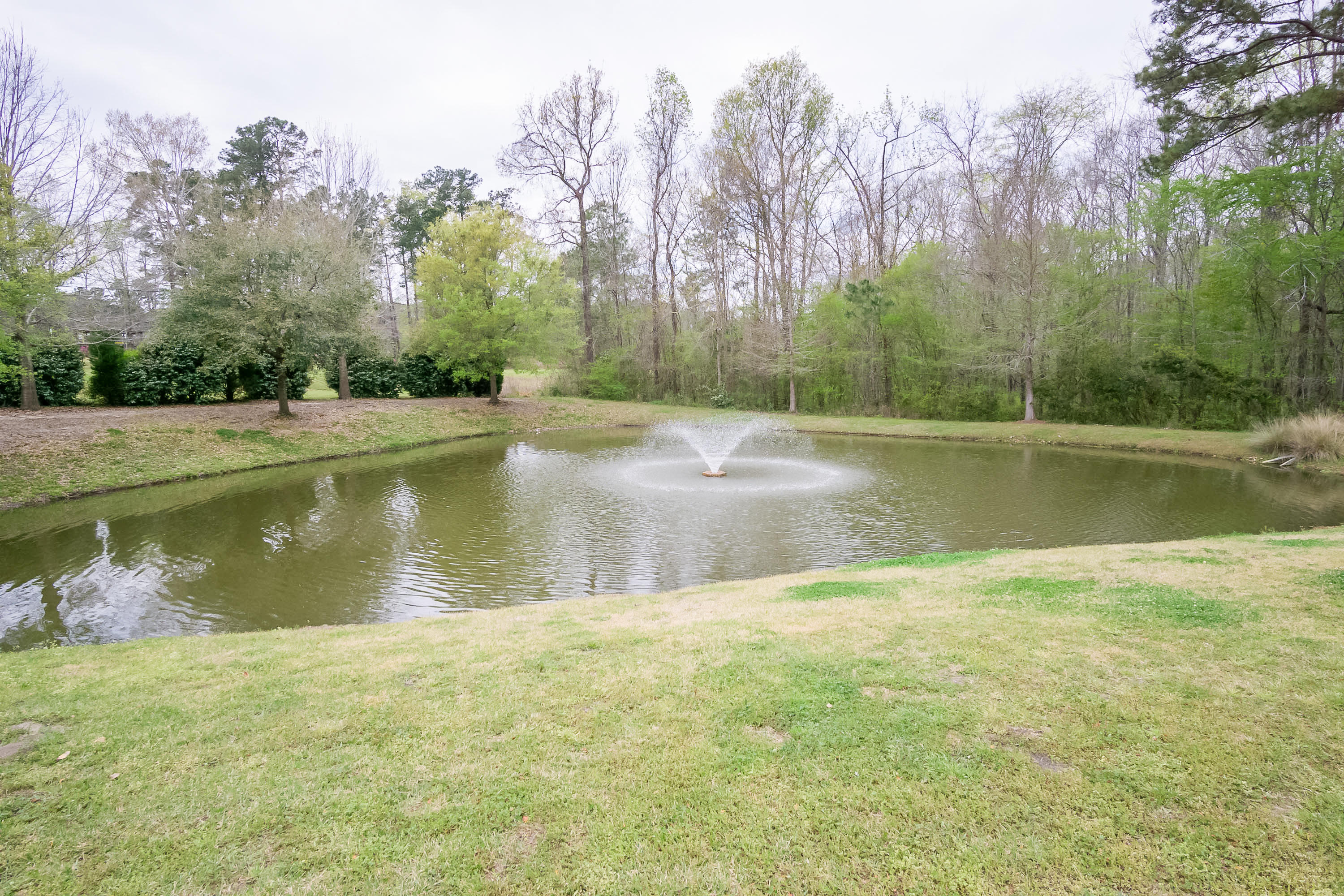 267 Brookshire Road Goose Creek, SC 29445 - Photo 20 of 22 19--FULL