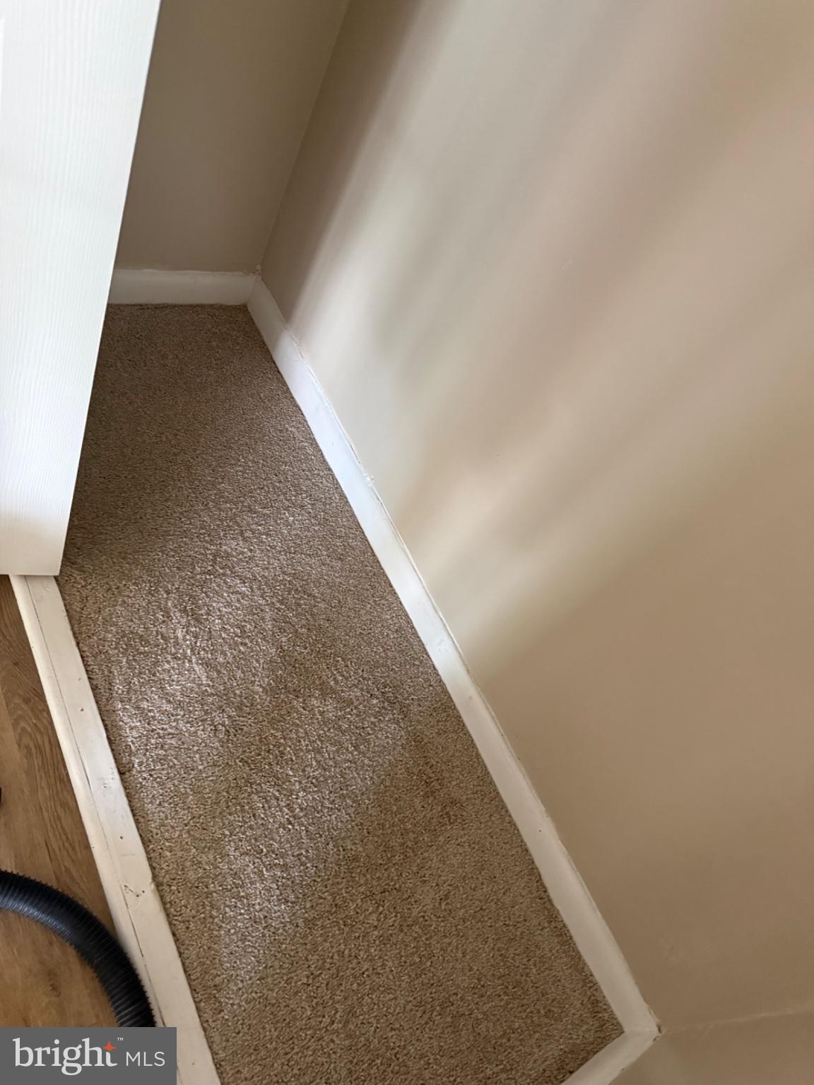 15607 Dorset Road, Unit 46 Laurel, MD 20707 - Photo 4 of 5 Cozy corner with soft carpeting.