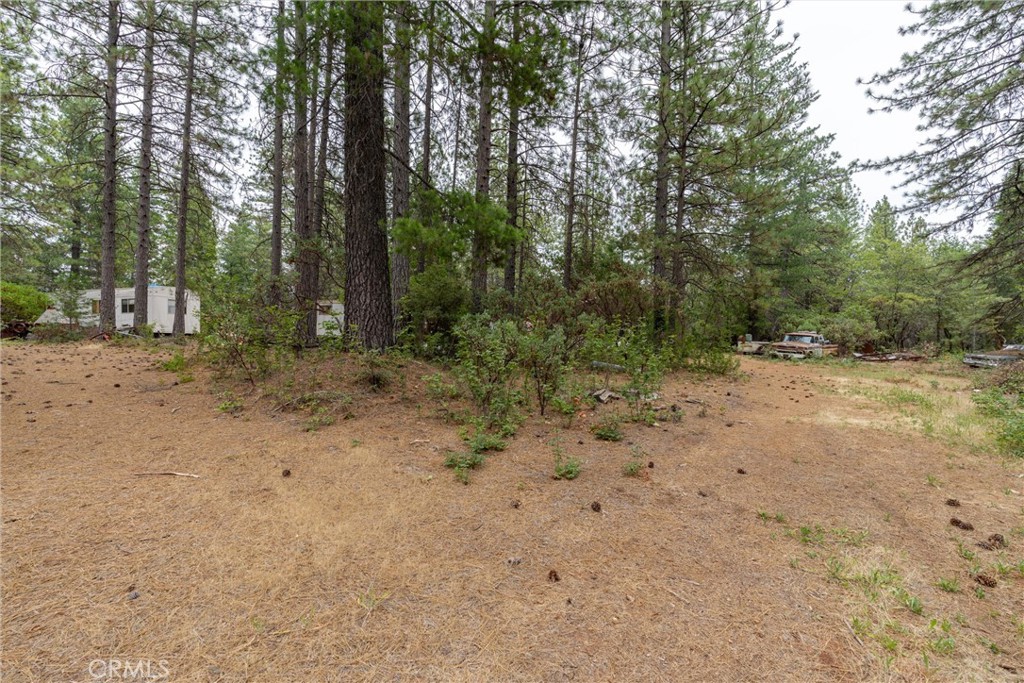 15184 Siwini Road Forest Ranch, CA 95942 - Photo 29 of 75