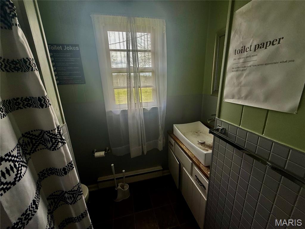 210 South High Street Iberia, MO 65486 - Photo 9 of 19