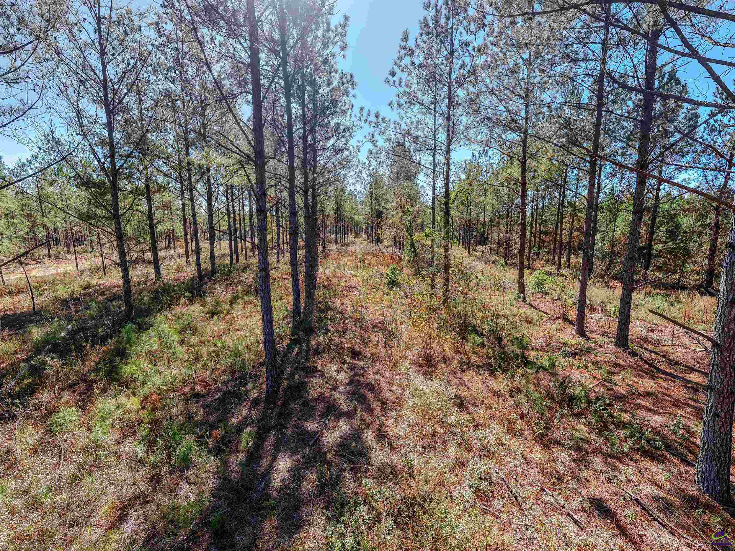 1446 Avera Road Roberta, GA 31078 - Photo 16 of 33