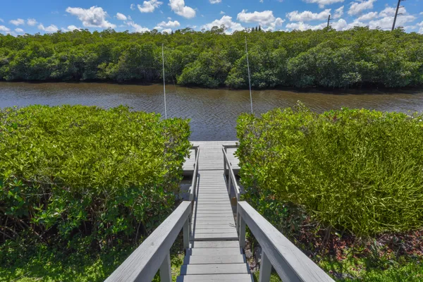a view of a garden with plants