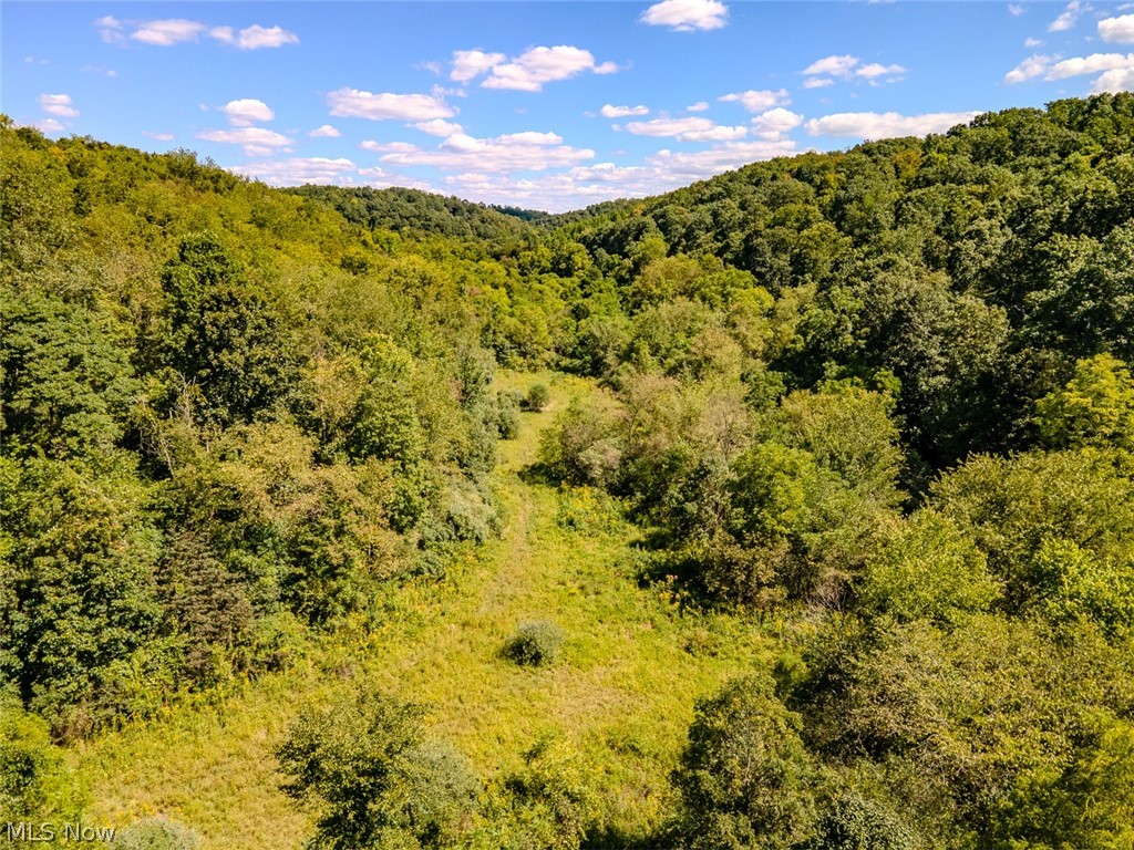 0 Brewer Road Cadiz, OH 43907 - Photo 14 of 37 View of mountain backdrop featuring a forest