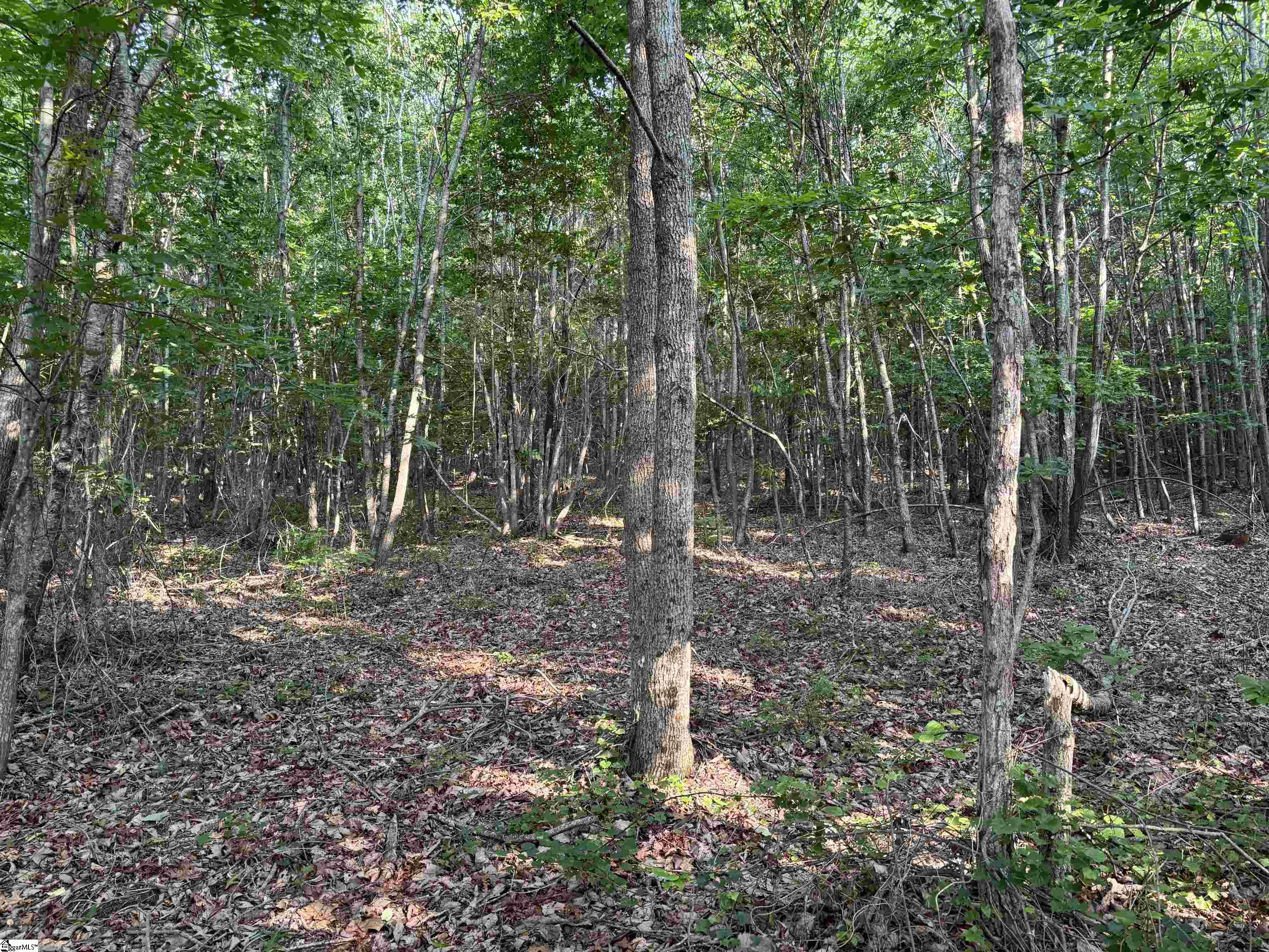 201 Gibson Road Easley, SC 29640 - Photo 7 of 10
