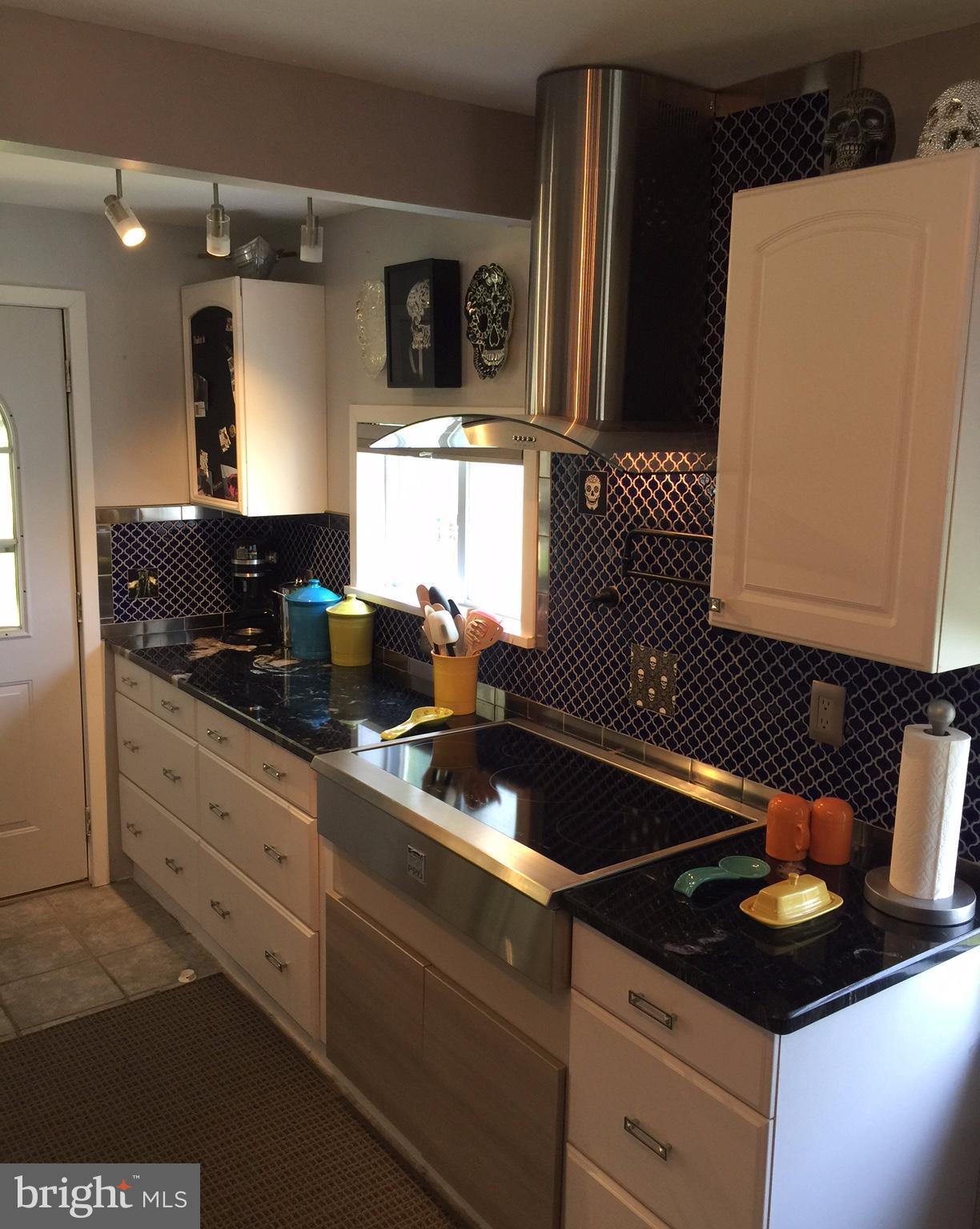 7506 Old Battle Grove Road Baltimore, MD 21222 - Photo 7 of 30 Pro induction cook top and SS exhaust vented out