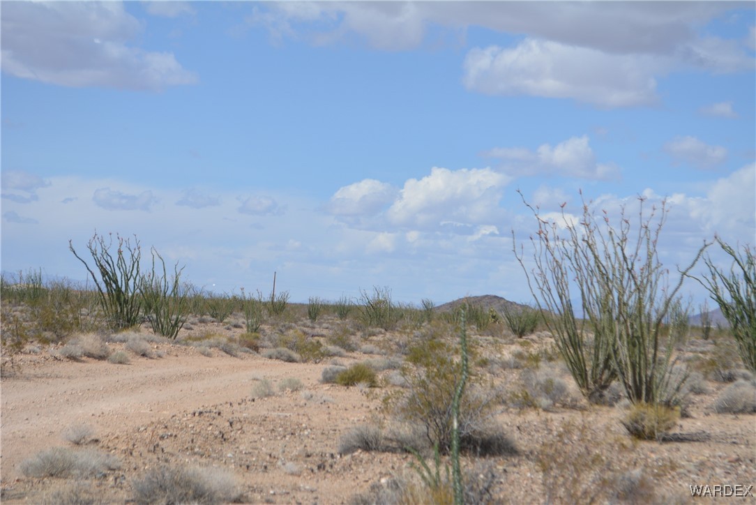 245-24-107 South Rainbow Road Yucca, AZ 86438 - Photo 79 of 91