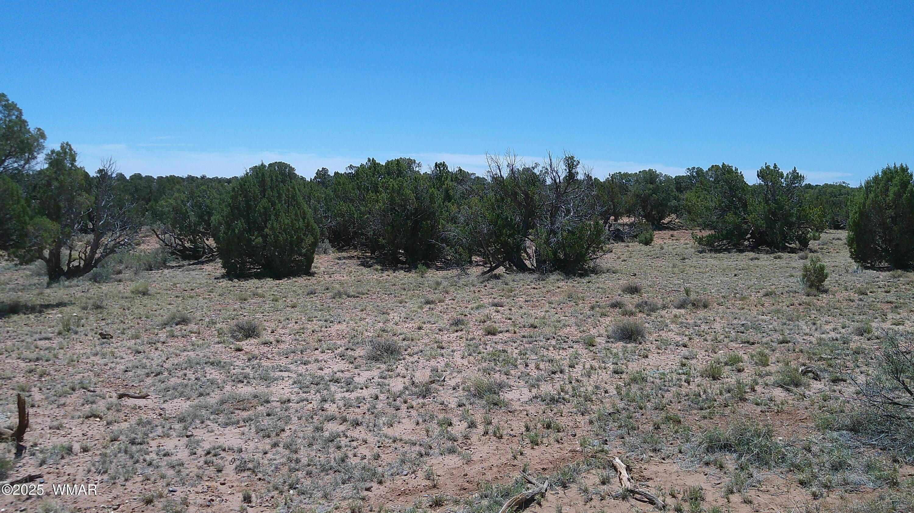 Tbd Tbd Rio Ranch Concho, AZ 85924 - Photo 26 of 44 DSCF0042