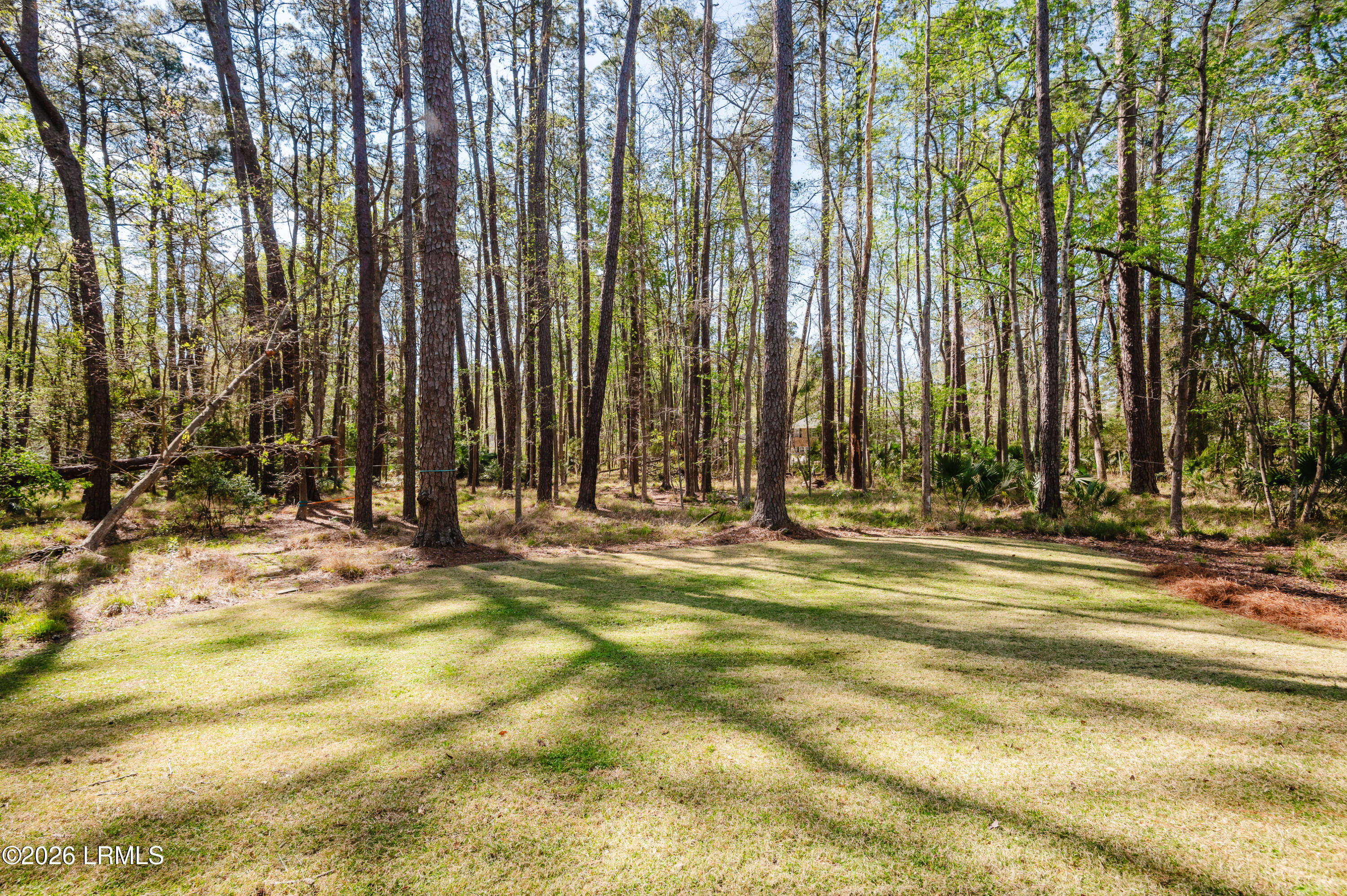 3 Deer Run Lane Bluffton, SC 29910 - Photo 26 of 26 Erica Ellis - 3 Deer Run Ln-50