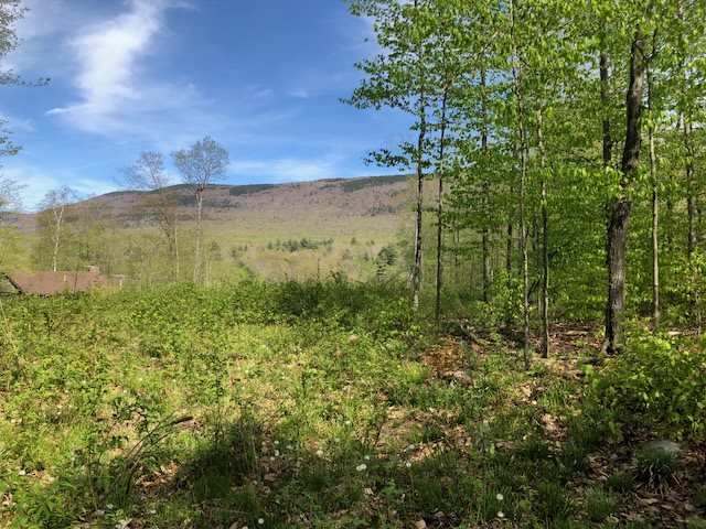 2 North Road Sunderland, VT 05250 - Photo 1 of 6 Gallery Image 1