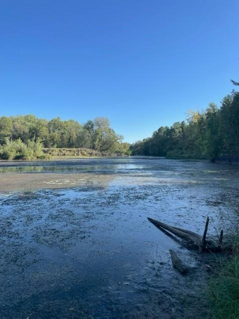 0 State Road Menomonie, WI 54751 - Photo 8 of 19