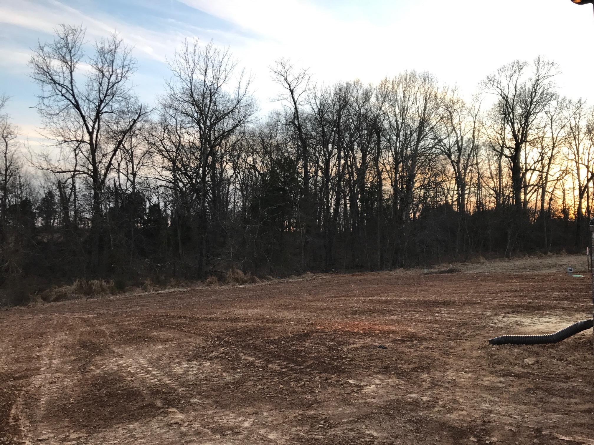 405 Tom Link Road Cottontown, TN 37048 - Photo 2 of 25 private back yard