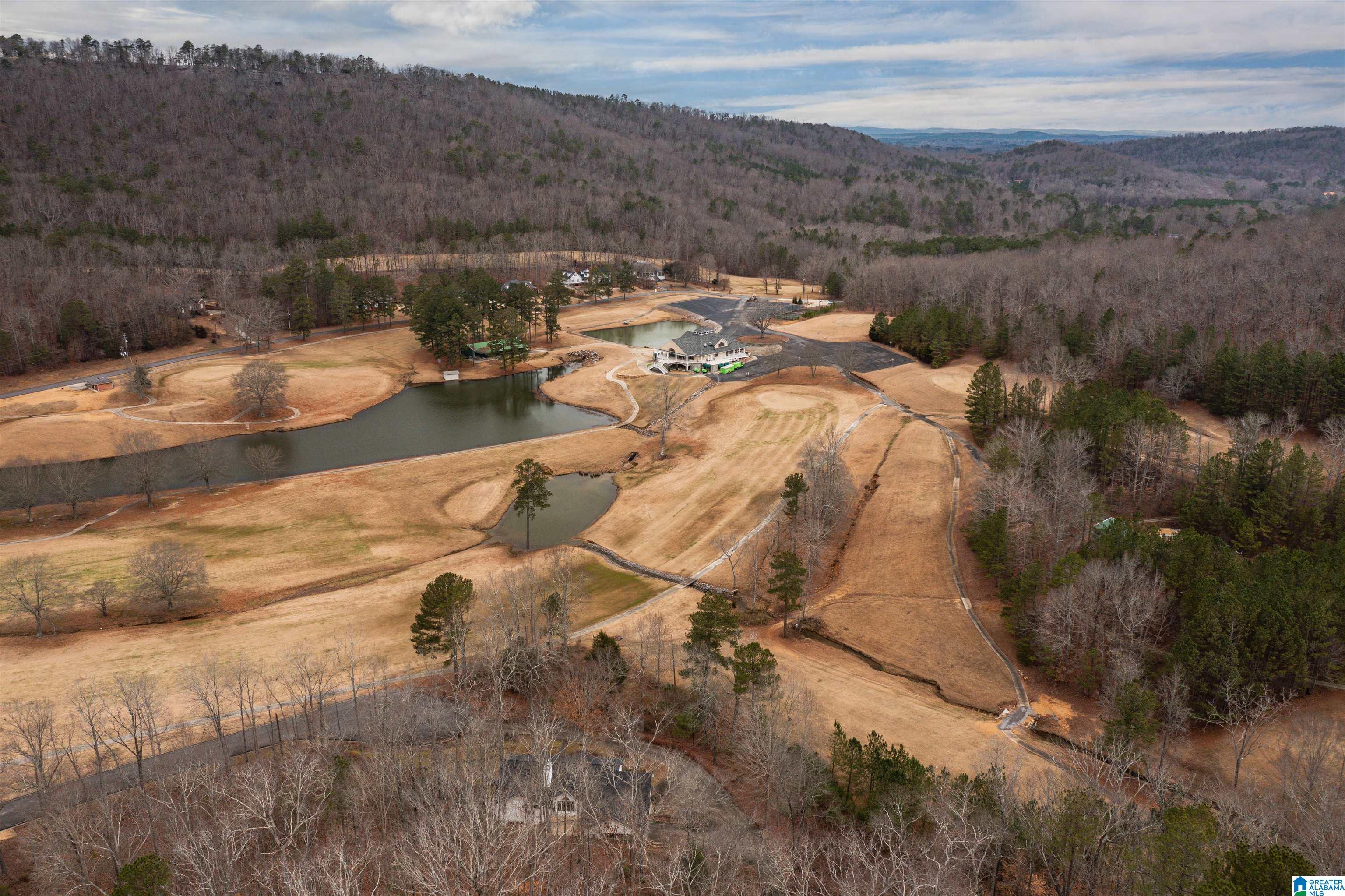 1 Heritage Road Oneonta, AL 35121 - Photo 67 of 74