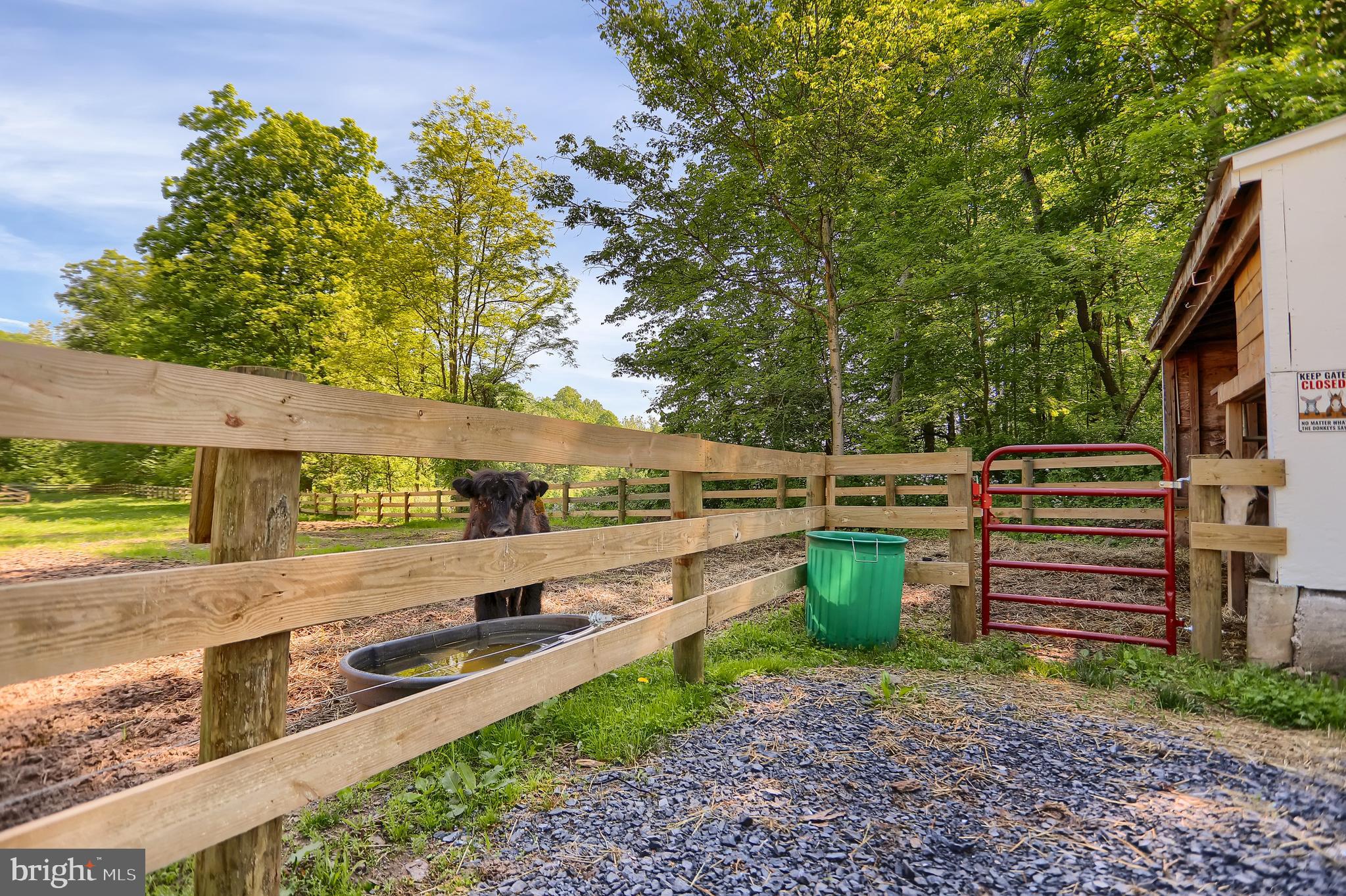564 McCabe Road Landisburg, PA 17040 - Photo 76 of 92 Gallery Image 76