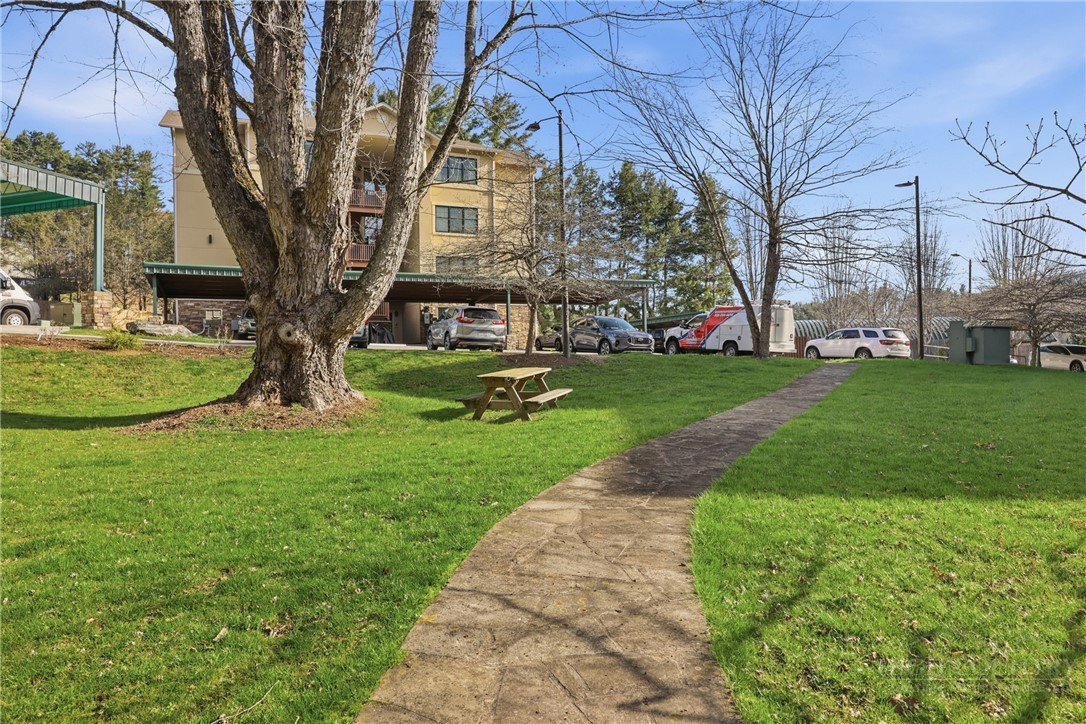155 Gateway Drive, Unit 102 Boone, NC 28607 - Photo 37 of 43 a view of a park with large trees