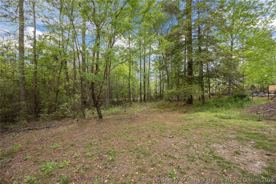 68 Heatherspring Way Spring Lake, NC 28390 - Photo 37 of 50 Back yard