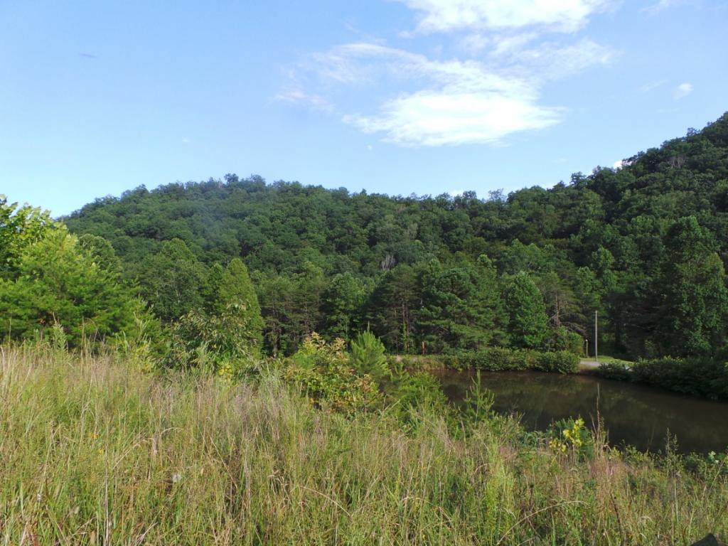 0 High Rock Road Rogersville, TN 37857 - Photo 15 of 20 Photo 15