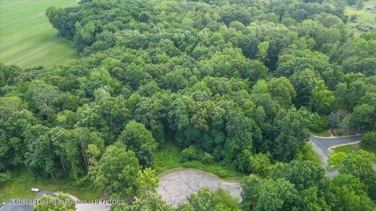 5675 Iosco Mountain Road Gregory, MI 48137 - Photo 14 of 18 11-Media Jett - 09