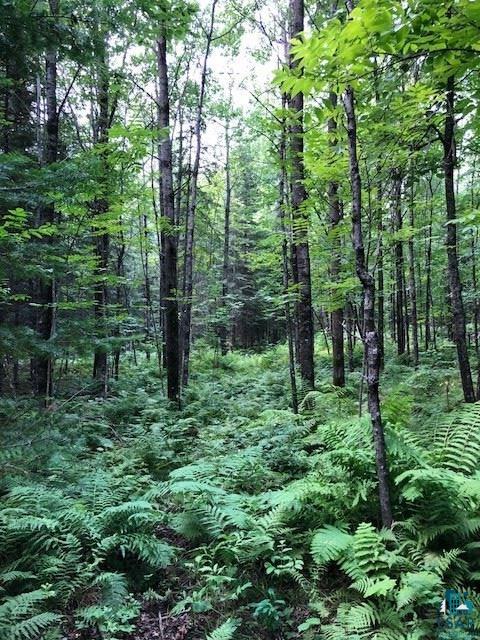 3 Two Harbors Two Harbors, MN 55616 - Photo 2 of 15 Gallery Image 2