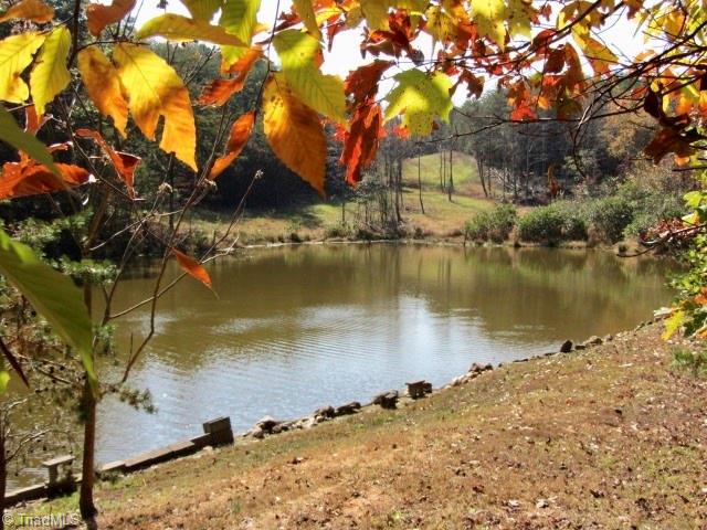 1192 Pilot-Westfield Road Pilot Mountain, NC 27041 - Photo 19 of 24 Gallery Image 19