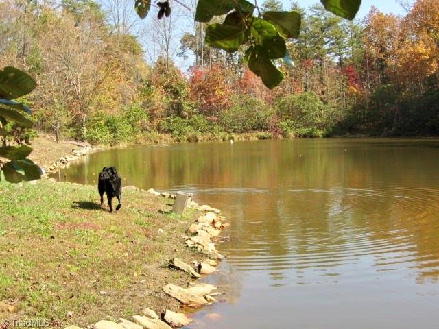 1192 Pilot-Westfield Road Pilot Mountain, NC 27041 - Photo 20 of 24 Gallery Image 20