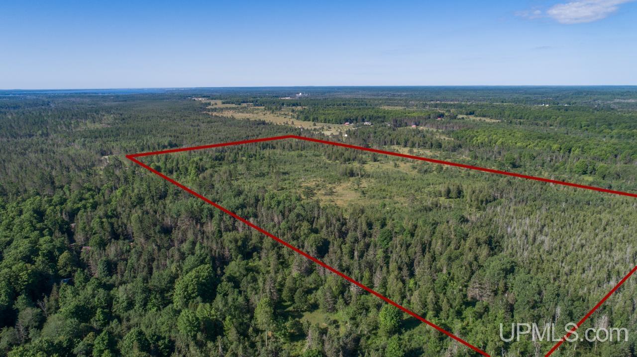 Tbd 80-acres 30th Road Rapid River, MI 49878 - Photo 3 of 17