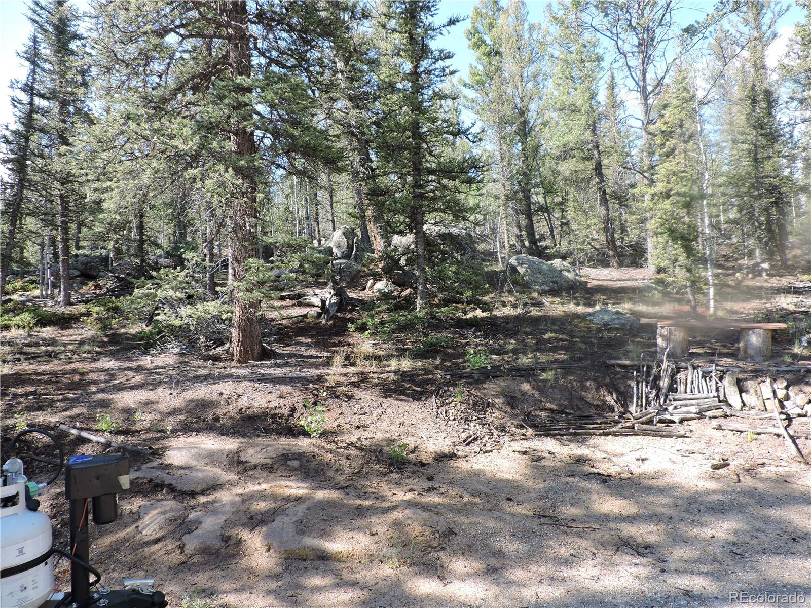 138 Cheyenne Road Como, CO 80456 - Photo 9 of 10