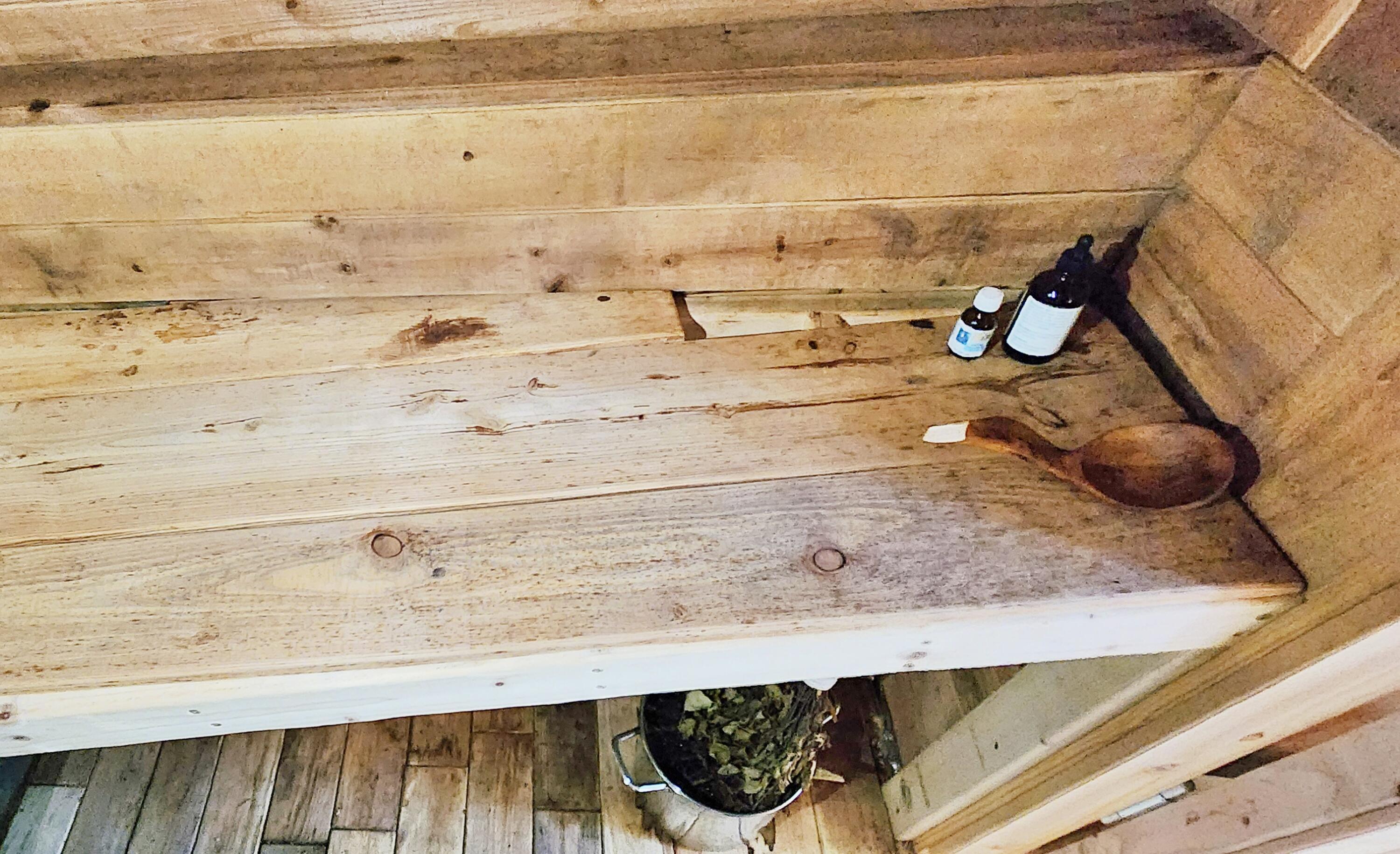 9557 East Anthony Road Branch, MI 49402 - Photo 62 of 98 Sauna