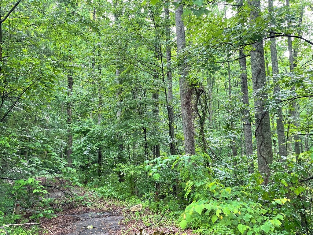 8 Burning Tree Lane Sevierville, TN 37862 - Photo 2 of 3