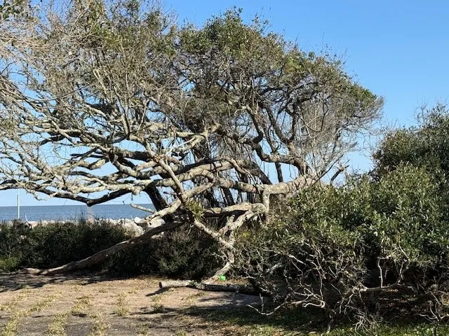 $510,000 | 1175 North Beachview Drive North, Unit 279, Jekyll Island, GA 31527