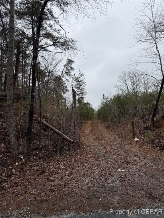 6-ac Cheaneys Bridge Road Dunnsville, VA 22454 - Photo 2 of 7 Gallery Image 2