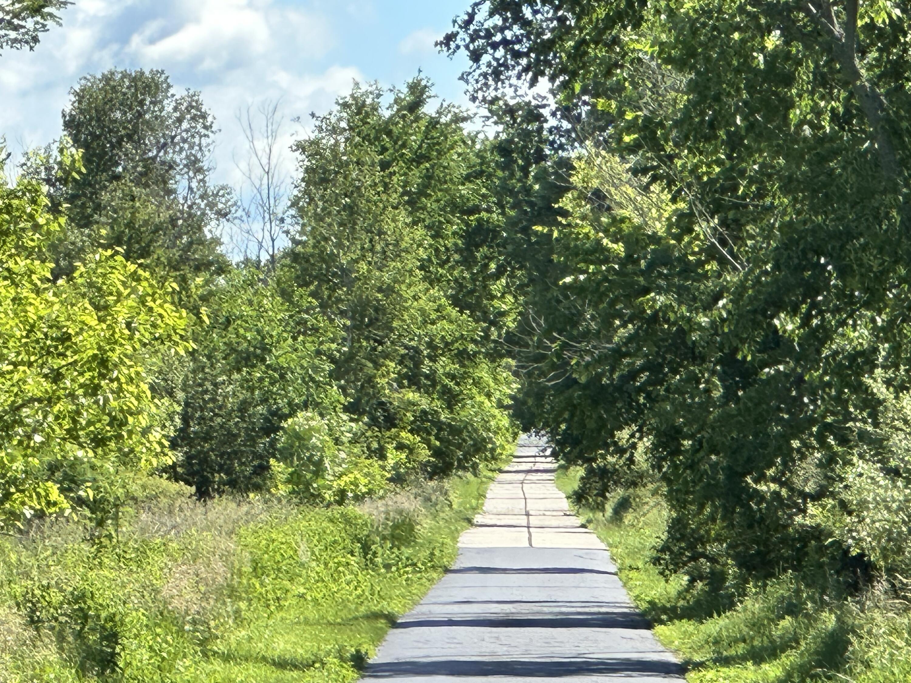 4485 South Miles Road Sheridan, MI 48884 - Photo 79 of 79 IMG_3708