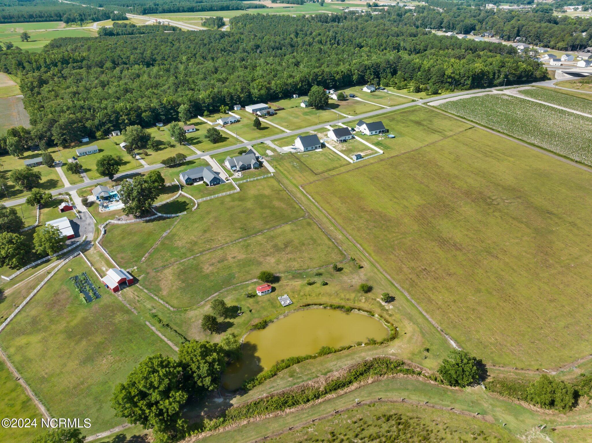 365 Old Snow Hill Road Ayden, NC 28513 - Photo 45 of 47 59-web-or-mls-DJI_0284