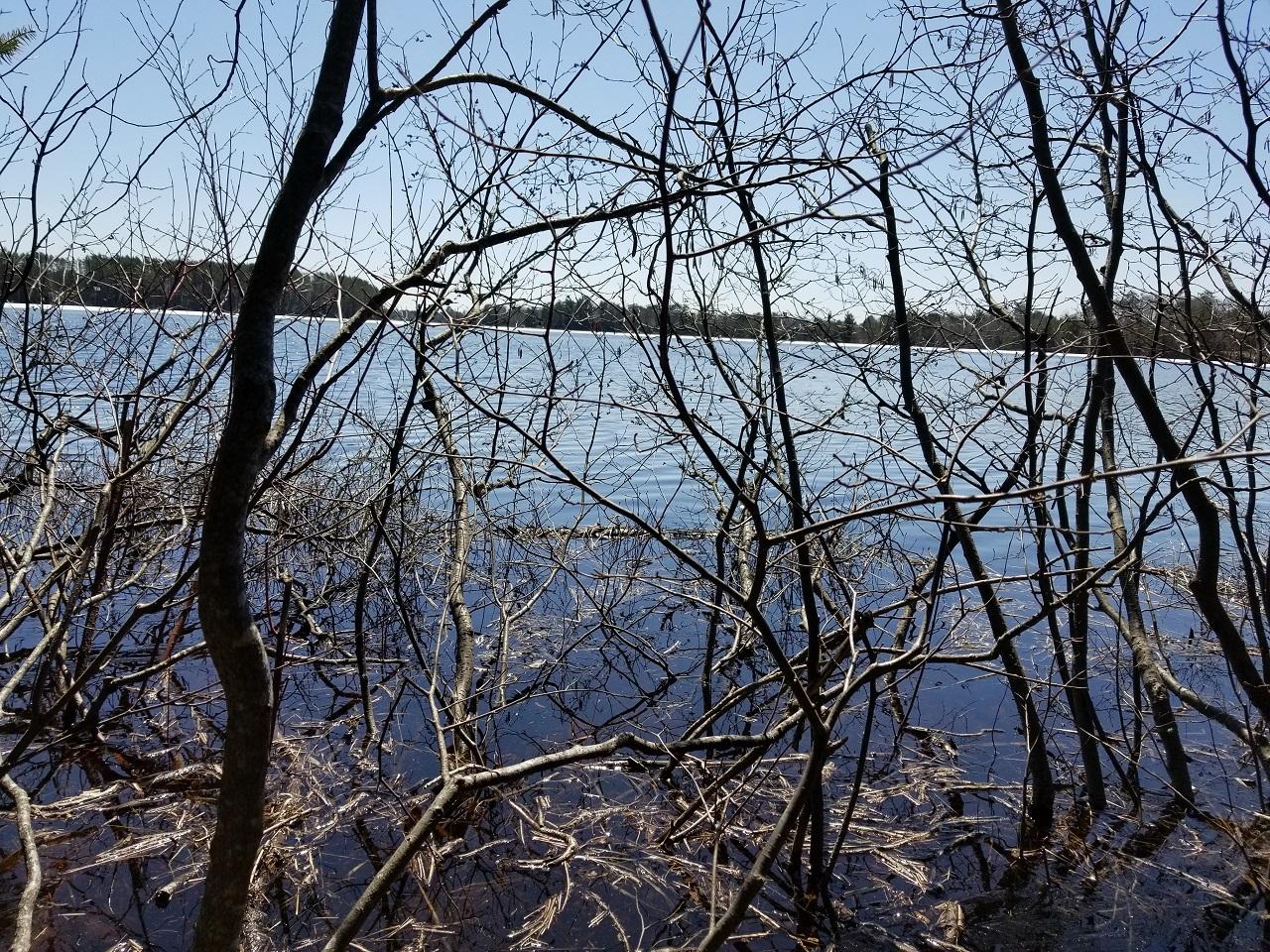 Lot 1 Mays Road Mercer, WI 54547 - Photo 24 of 27 Gallery Image 24