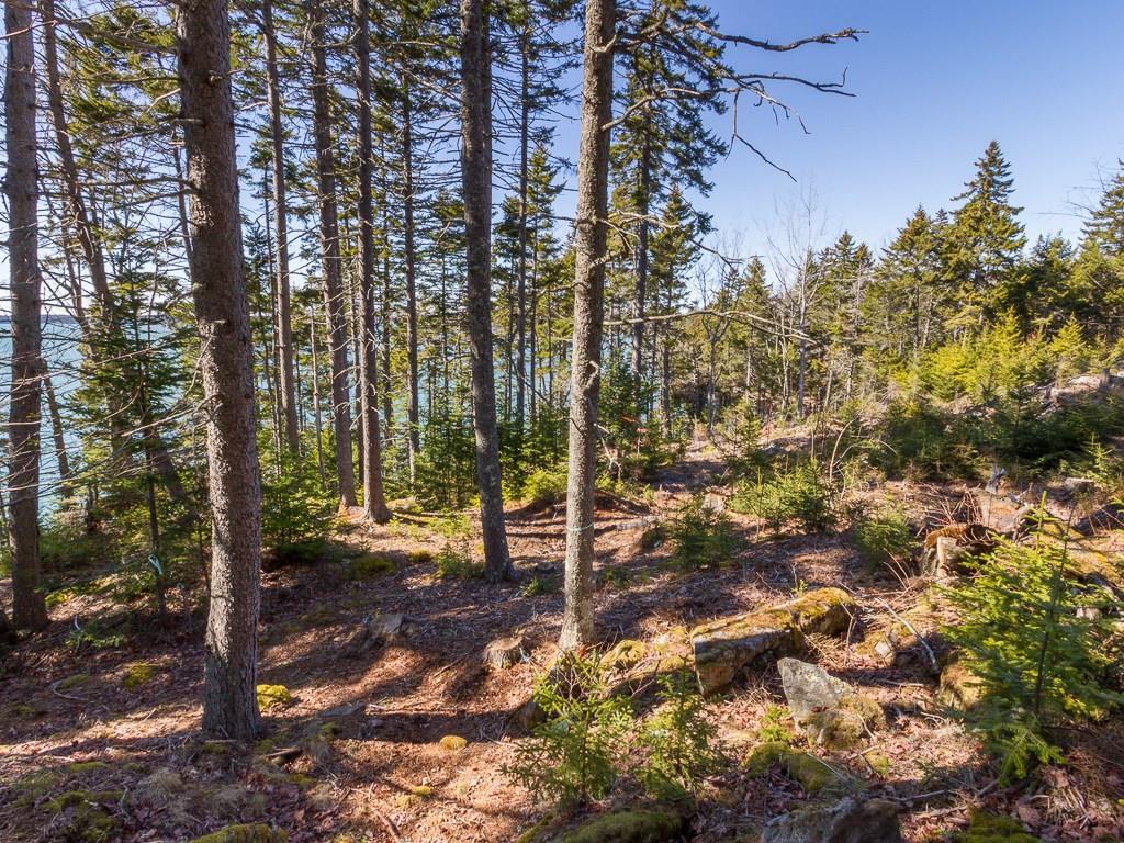265 Glenmere Road Tenants Harbor, ME 04860 - Photo 11 of 15 Photo