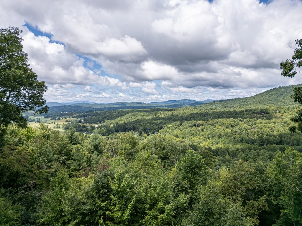 425 Boyd Ridge Drive Murphy, NC 28906 - Photo 36 of 41