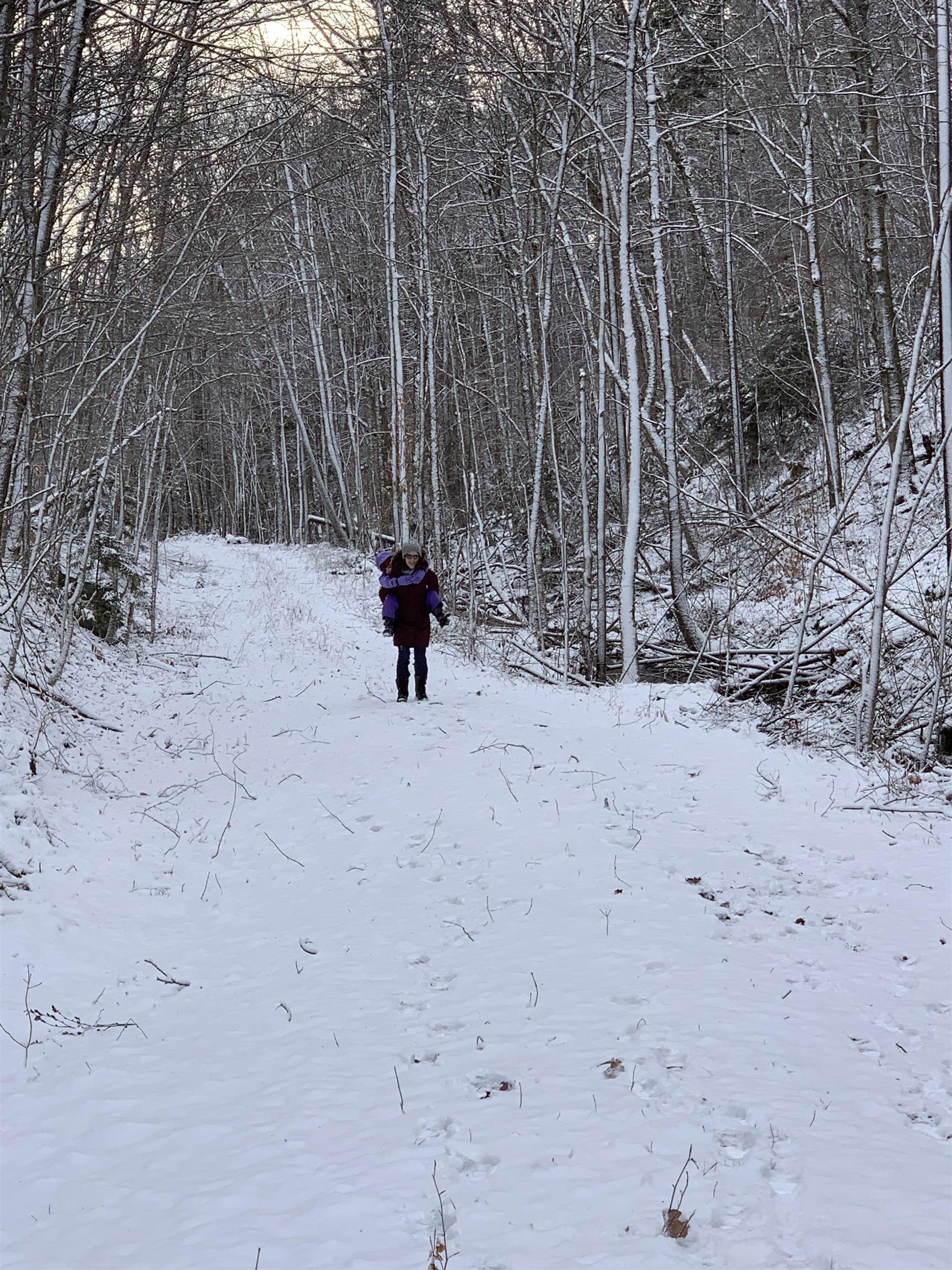 78 White Pines Road Reading, VT 05153 - Photo 39 of 42