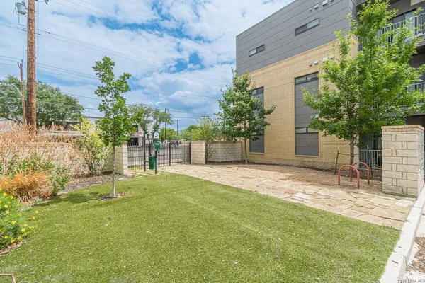 a view of a backyard with plants