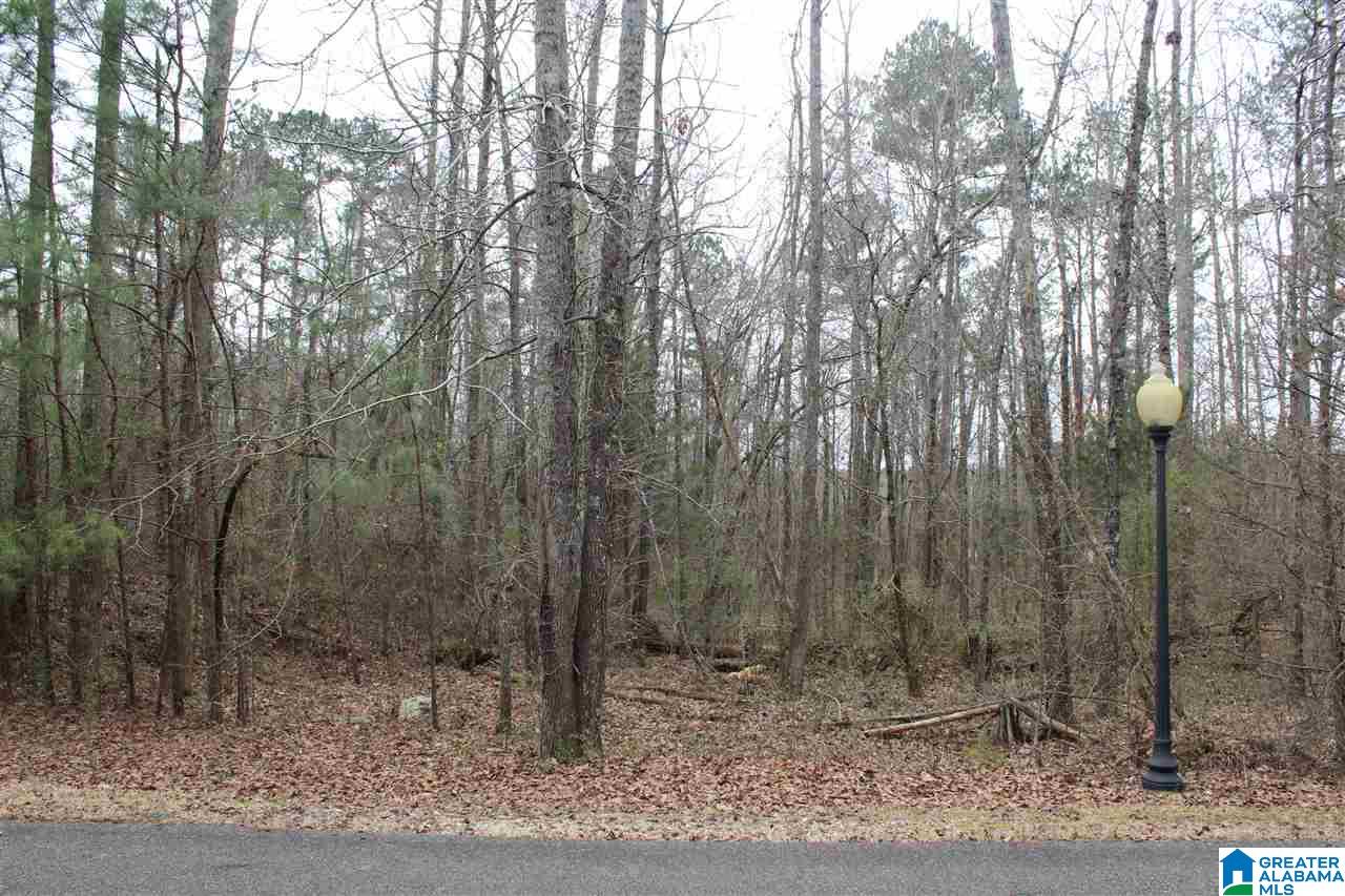 146 Forest Ridge Drive, Unit 19A Jacksonville, AL 36265 - Photo 3 of 6