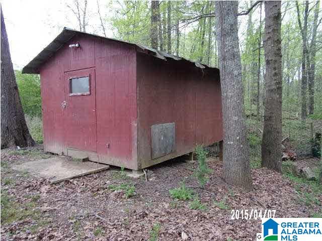 466 Mountain Top Loop Road Pell City, AL 35128 - Photo 3 of 9