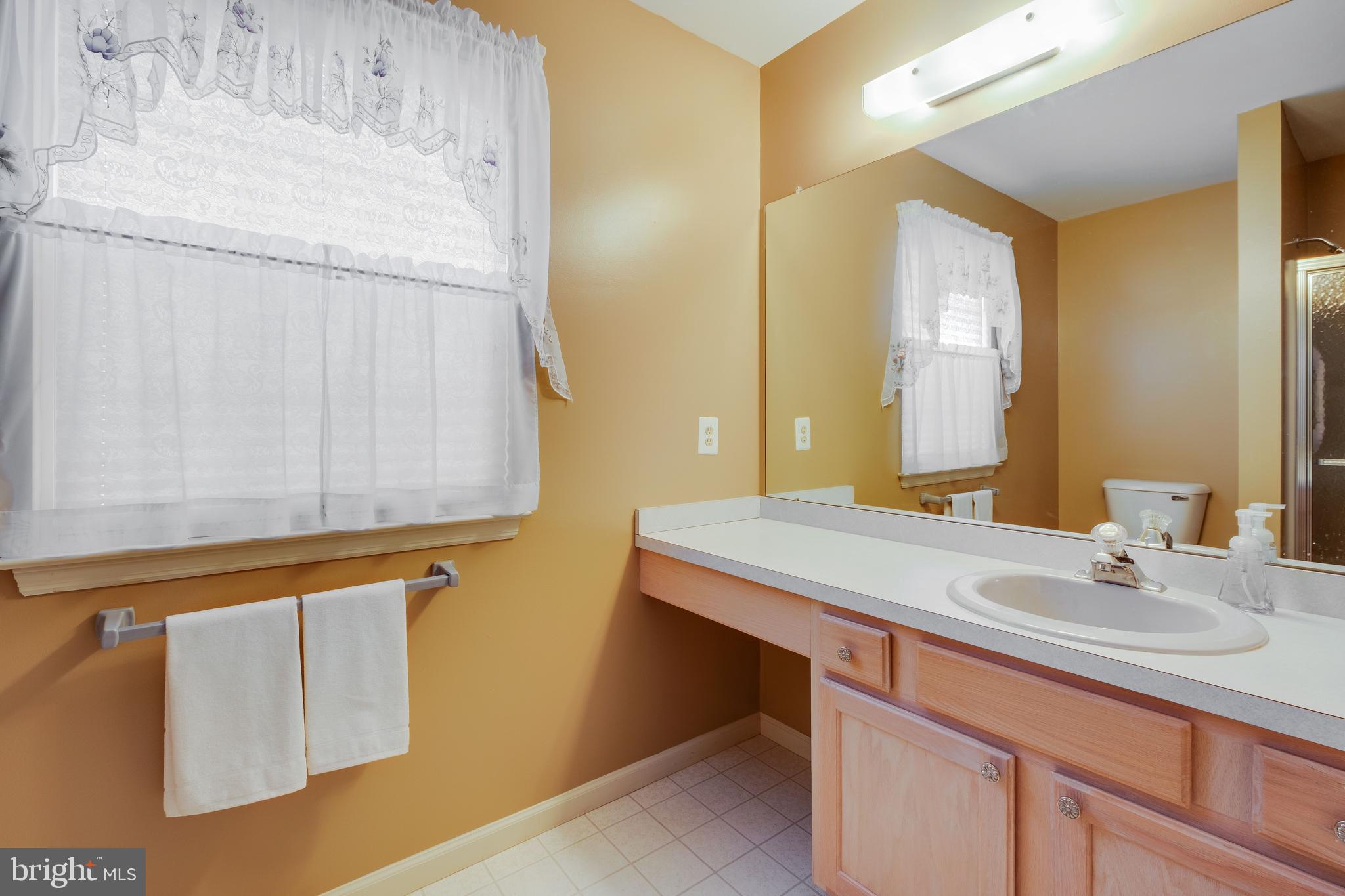 425 Country Way Mickleton, NJ 08056 - Photo 20 of 29 Master bathroom