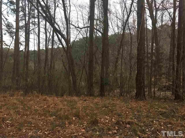 a view of outdoor space