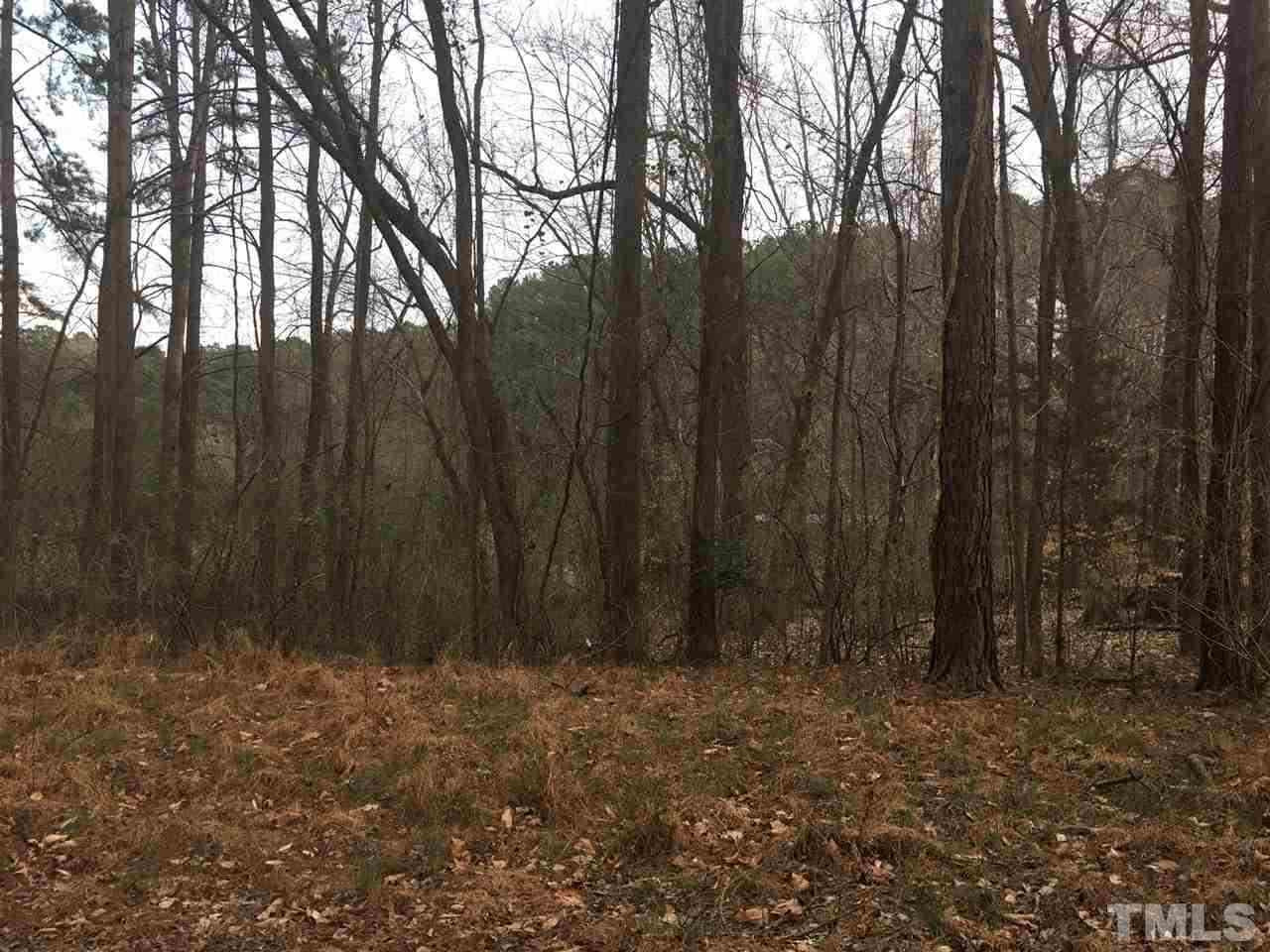 6825 Green Meadow Court Raleigh, NC 27603 - Photo 2 of 3 a view of outdoor space