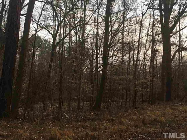 a view of a yard with lots of trees