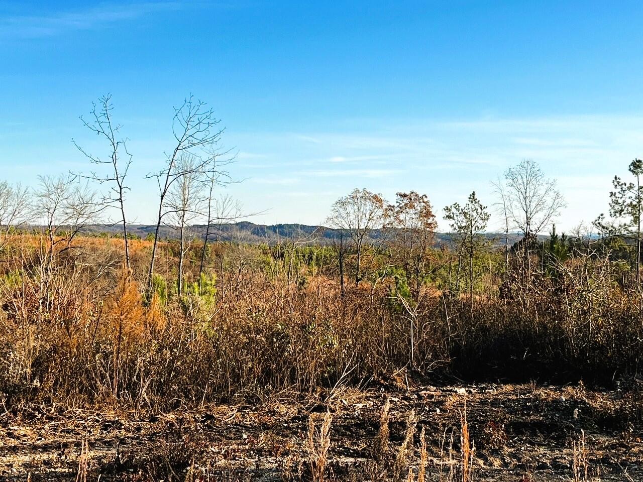 1675 Euchee Road Ten Mile, TN 37880 - Photo 10 of 30