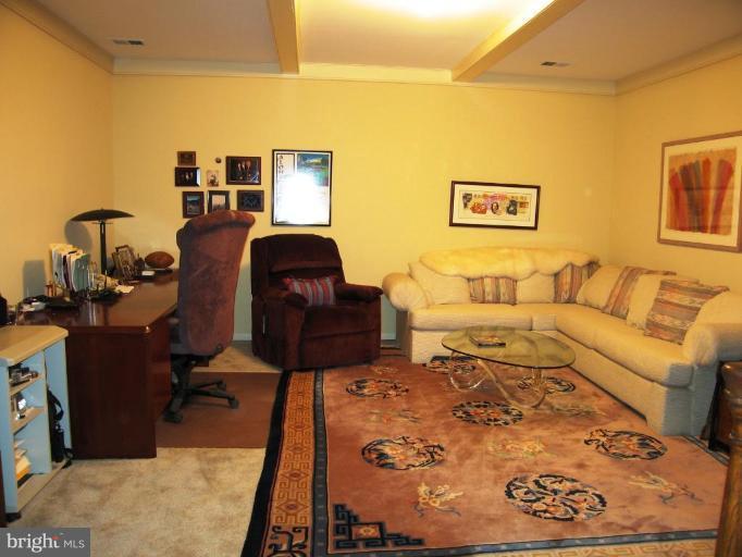 8055 Rising Ridge Road Bethesda, MD 20817 - Photo 19 of 25 Recreation Room