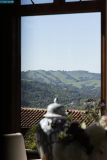 a view of city and mountain