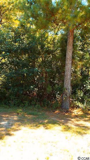 423 Seabert Road, Unit 423 Myrtle Beach, SC 29579 - Photo 21 of 23 Gallery Image 21