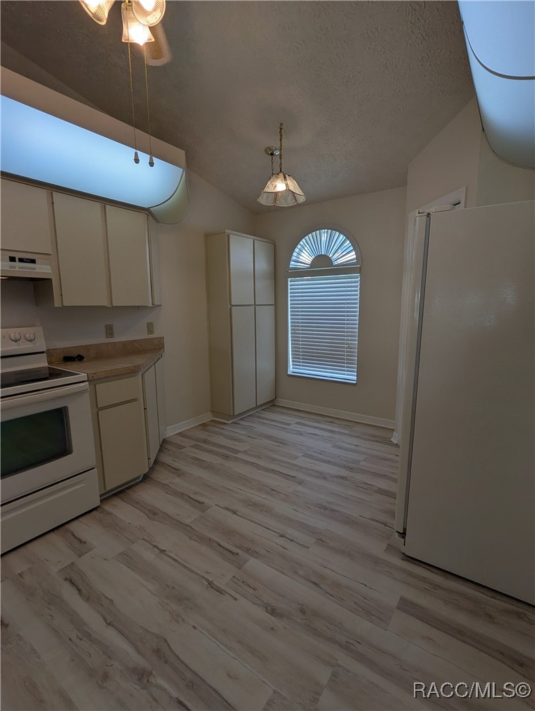 806 Windermere Boulevard Inverness, FL 34453 - Photo 19 of 23