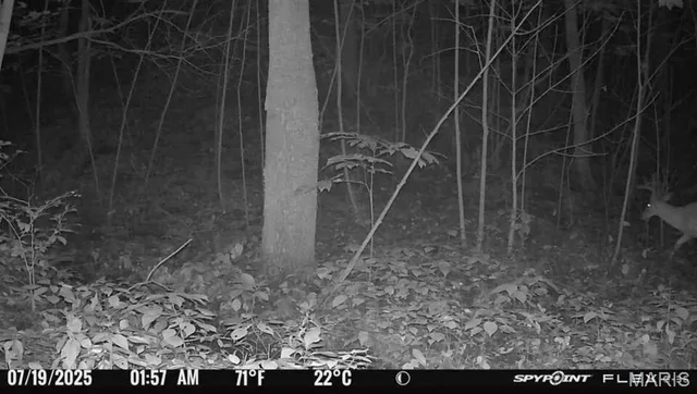 $184,900 | 986 Franklin Hill Road, Hardin, IL 62047