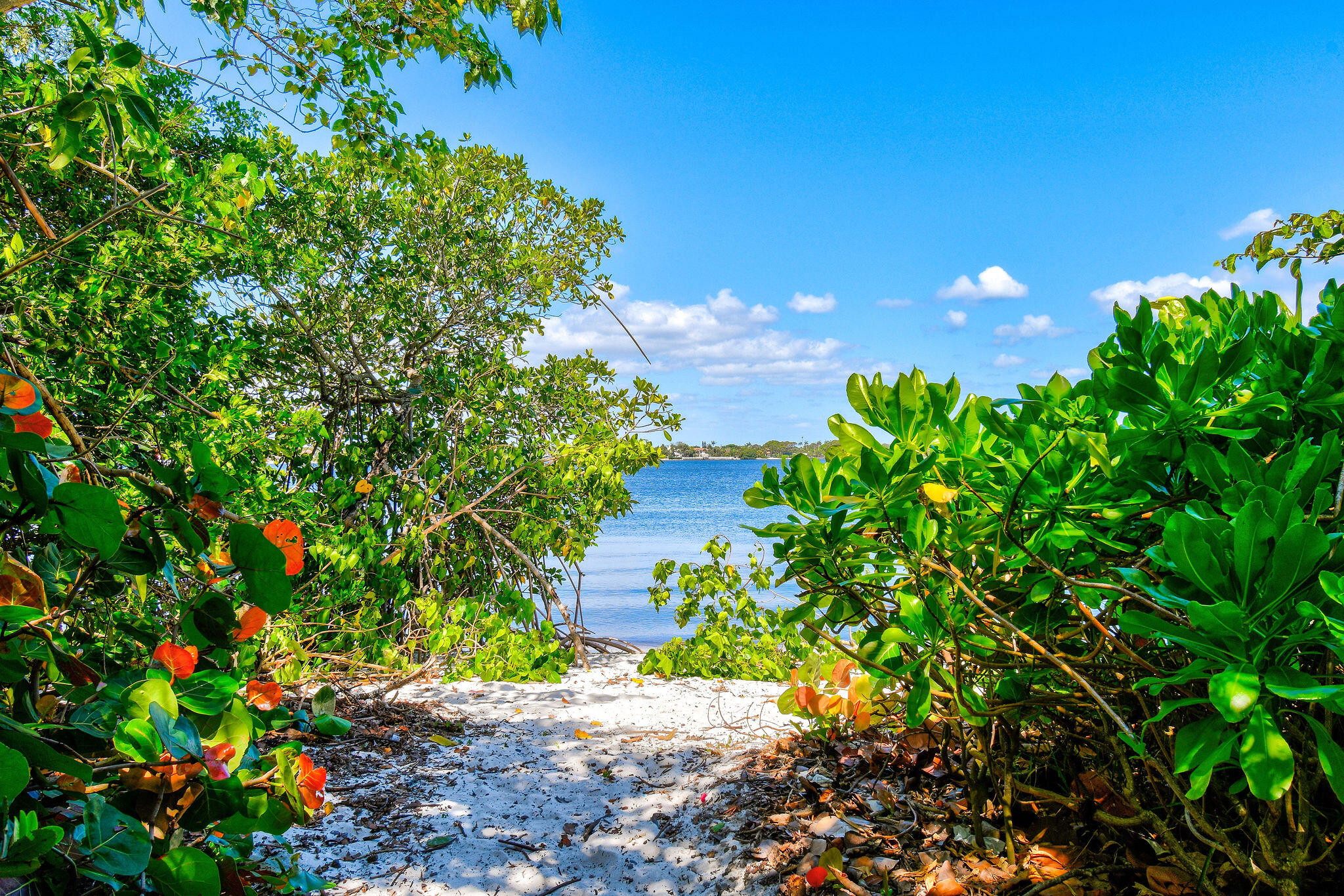 3440 South Ocean Boulevard, Unit 105S Palm Beach, FL 33480 - Photo 66 of 77 TheHalcyon(28)